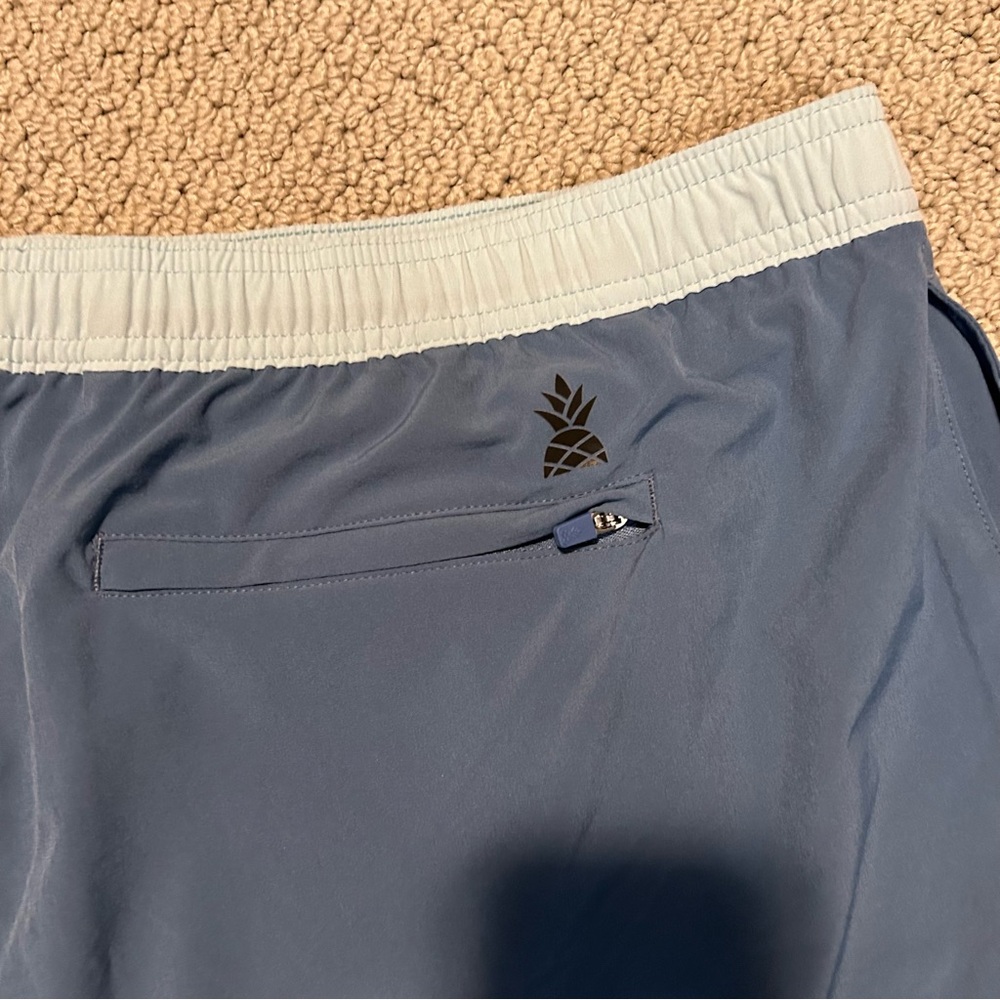 Chubbies Athletic Lined Shorts - image 3